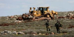 الاحتلال الإسرائيلي يستولي على أراضي فلسطينية في سلفيت ويقتلع مئات أشجار الزيتون