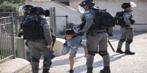 مقررون أمميون يدينون الاعتداءات الإسرائيلية على المجتمع المدني الفلسطيني