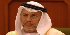 وزير إماراتي يحذر من حملة إعلامية ضد السعودية ويدعو للتصدي لها