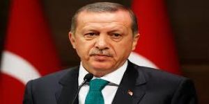 أردوغان: نعمل على مشروع لتجنيس اللاجئين السوريين