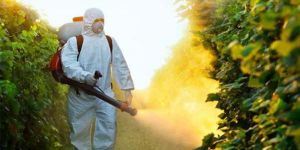 منظمة الصحة العالمية تحذر من 4 مخاطر للمبيدات الزراعية على صحة الإنسان