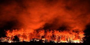 جنوب كاليفورنيا يواجه يوما ثانيا من حرائق الغابات