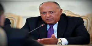 وزير الخارجية المصري يؤكد على رفض التدخلات في شؤون الدول العربية