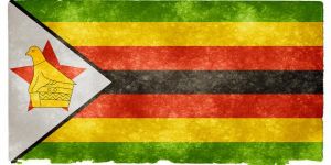 زيمبابوي وناميبيا تعلنان الطوارئ بسبب كورونا