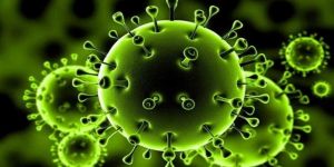 إقليمي منظمة الصحة العالمية يعلن عن تزايد المصابين بفيروس كورونا في أفريقيا