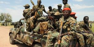 الحكومة السودانية توافق على منح الحركات المسلحة 75 مقعداً في المجلس التشريعي الانتقالي