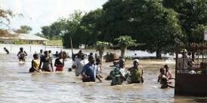 مصرع 45 شخصًا جراء فيضانات الأمطار الغزيرة في النيجر