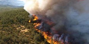 إرتفاع ضحايا حرائق الغابات في كاليفورنيا إلى 10 أشخاص