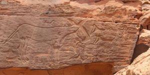 مكتبة الملك عبدالعزيز العامة توثق أحوال سفينة الصحراء في التراث السعودي من خلال النقوش الحجرية
