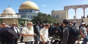 يهود يقتحمون المسجد الأقصى ويتجولون في أرجائه