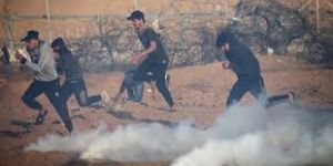 قوات الاحتلال تستهدف بالرصاص الحي المزارعين الفلسطينيين