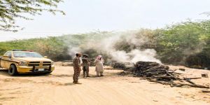 ضبط مخالفين لنظام البيئة يقطعون الأشجار لتحويلها إلى فحم بمنطقة مكة